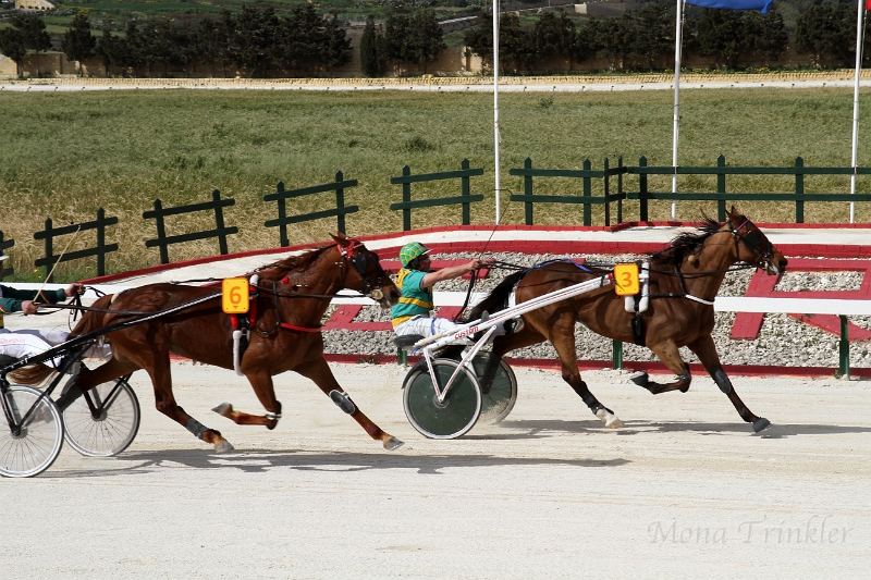 2015_Race 6 - 12.JPG